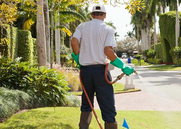 About Kincaid WV Pest Control